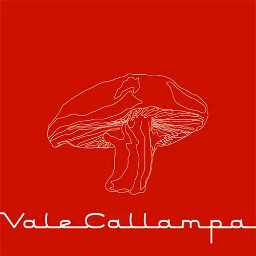 Caf Tacvba - VALE CALLAMPA