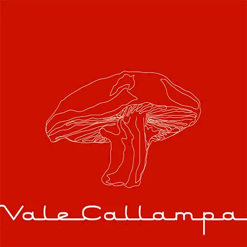 Caf� Tacvba - VALE CALLAMPA
