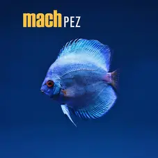 Mach - PEZ - SINGLE