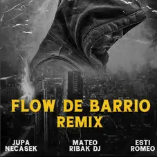 Mateo Ribak - FLOR DE BARRIO (REMIX) - SINGLE