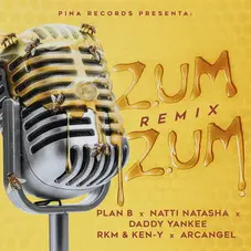 Daddy Yankee - ZUM ZUM (REMIX)