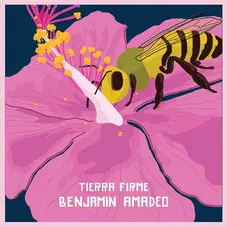 Benjamín Amadeo - TIERRA FIRME - SINGLE