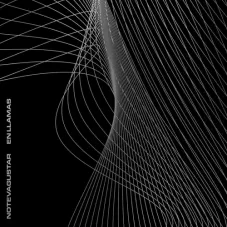 No Te Va Gustar - EN LLAMAS - SINGLE