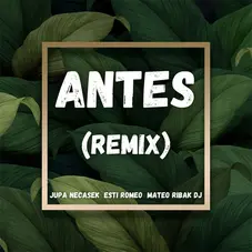 Mateo Ribak - ANTES - REMIX - SINGLE