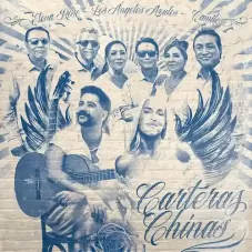 CARTERAS CHINAS - SINGLE