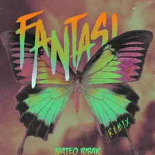 Mateo Ribak - FANTASI - REMIX - SINGLE