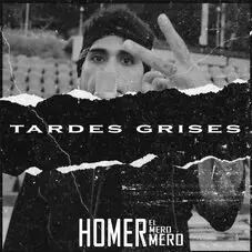 Homer El Mero Mero - TARDES GRISES - SINGLE