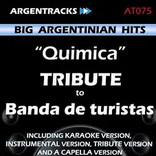 Banda de Turistas - QUMICA - TRIBUTE TO BANDA DE TURISTAS