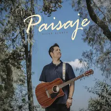 Diego Alonso - PAISAJE