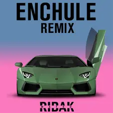 Mateo Ribak - ENCHULE - REMIX - SINGLE