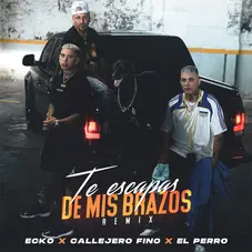 Callejero Fino - TE ESCAPAS DE MIS BRAZOS - SINGLE