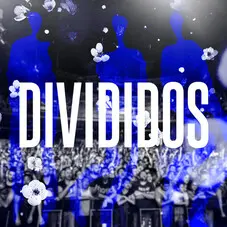 Divididos - 16/2/19 FLORES (EN VIVO) - SINGLE