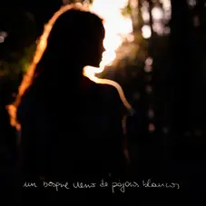 Loli Molina - UN BOSQUE LLENO DE PÁJAROS BLANCOS - SINGLE