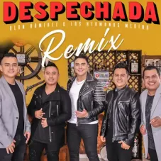 Los Hermanos Medina - DESPECHADA REMIX - SINGLE
