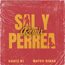 Mateo Ribak - SAL Y PERREA - REMIX - SINGLE
