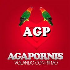 Agapornis - VOLANDO CON RITMO