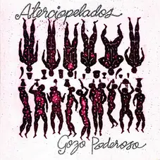 Aterciopelados - GOZO PODEROSO