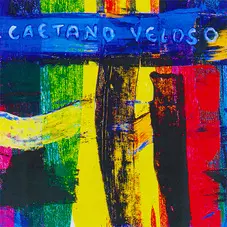 Caetano Veloso - LIVRO