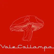 Caf Tacvba - VALE CALLAMPA