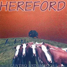 Hereford - CUATRO ESTOMAGOS