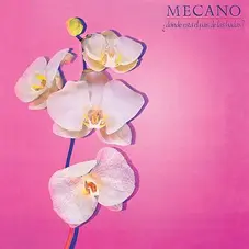 Mecano - DNDE EST EL PAS DE LAS HADAS?