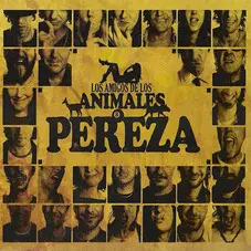 Pereza - LOS AMIGOS DE LOS ANIMALES