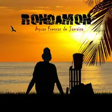 RonDamn - AGUAS FRESCAS DE JAMAICA